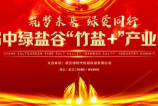 首屆中綠鹽谷“竹鹽+”產(chǎn)業(yè)峰會在漢成功舉辦